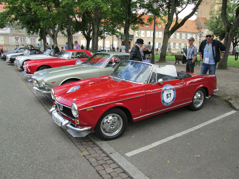 vino49